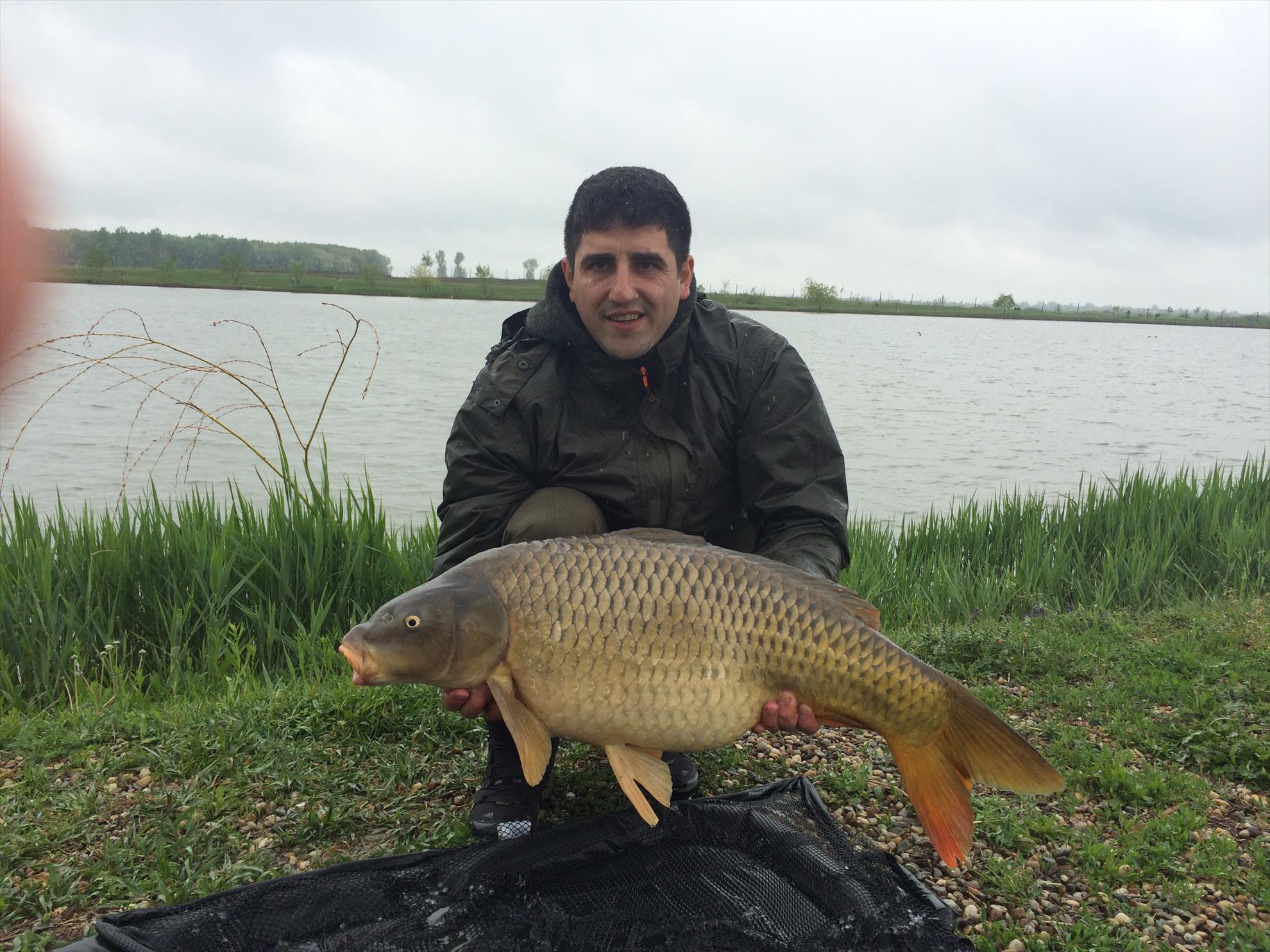 Balta mobydick dorlot - image111111.jpg